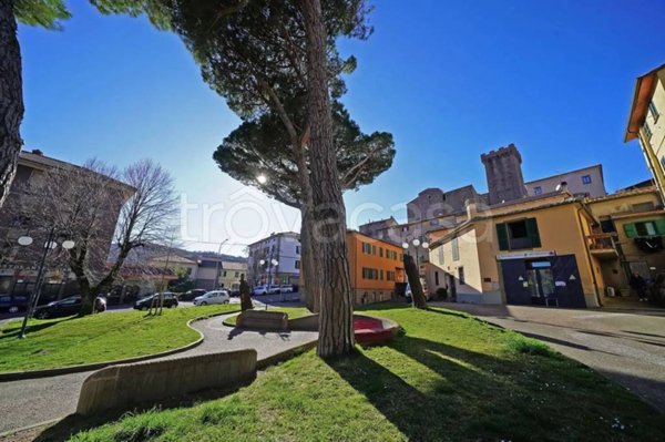 appartamento in vendita ad Arcidosso