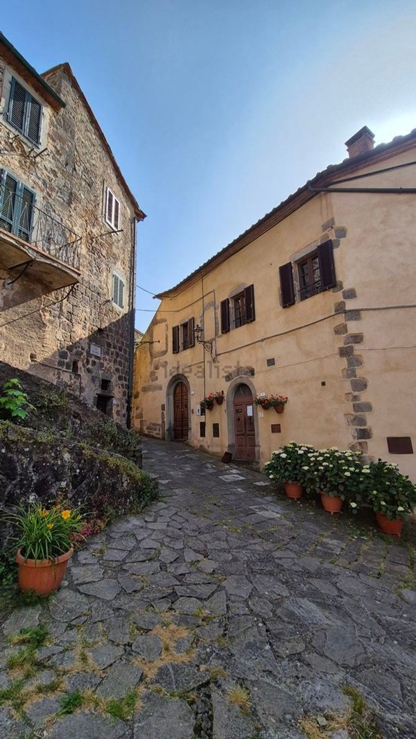 appartamento in vendita ad Arcidosso