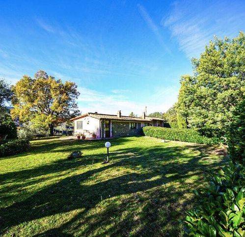 casa indipendente in vendita ad Arcidosso in zona Montelaterone