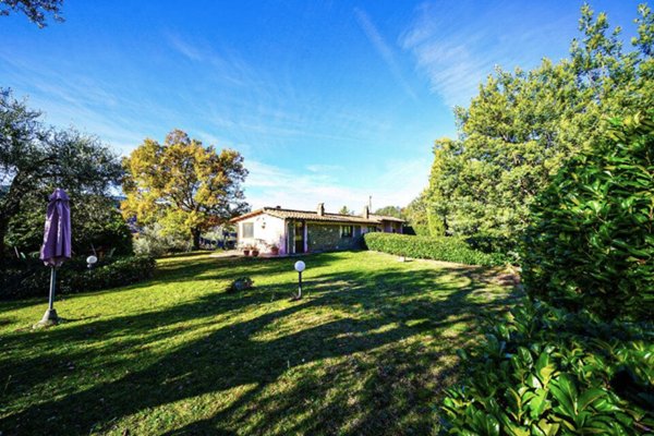 casa indipendente in vendita ad Arcidosso in zona Montelaterone