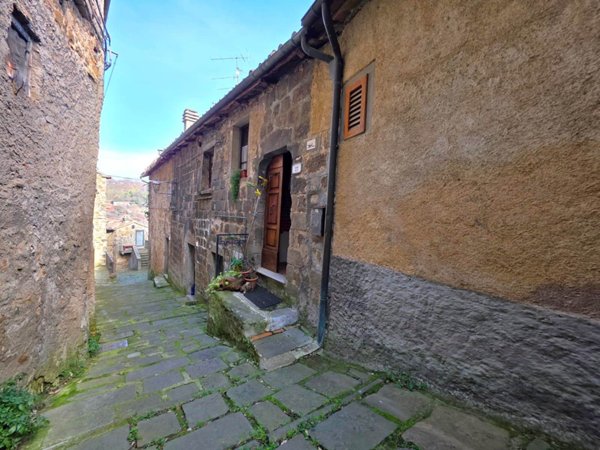 appartamento in vendita ad Arcidosso