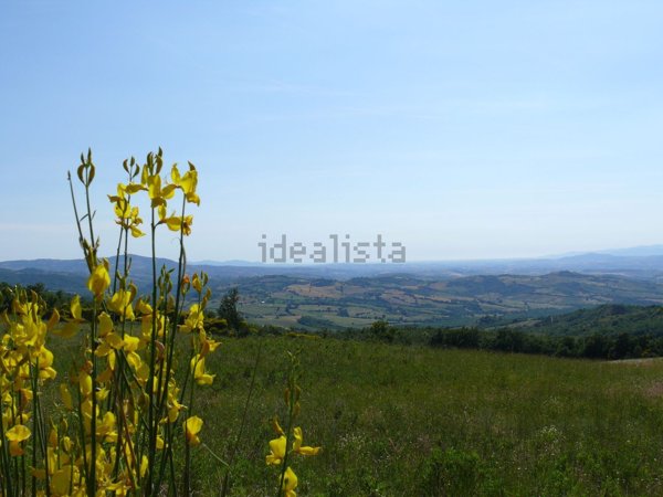 appartamento in vendita ad Arcidosso in zona Stribugliano