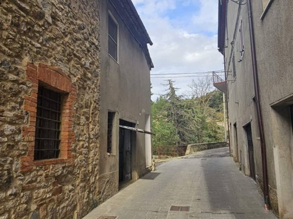 appartamento in vendita ad Arcidosso in zona Stribugliano