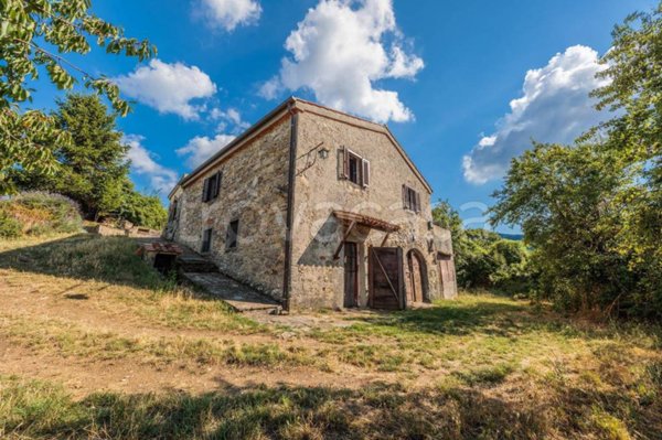 casa indipendente in vendita ad Arcidosso