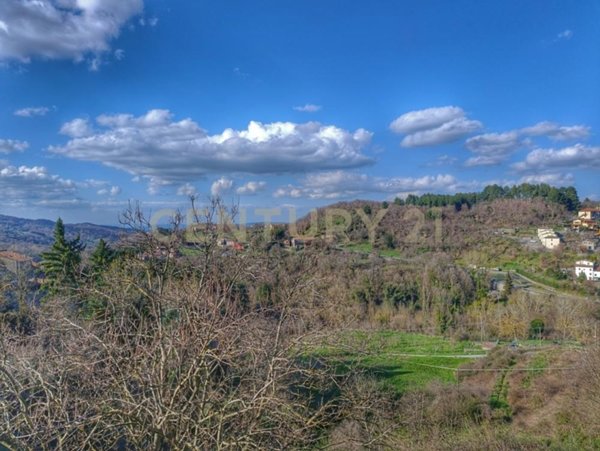 appartamento in vendita ad Arcidosso