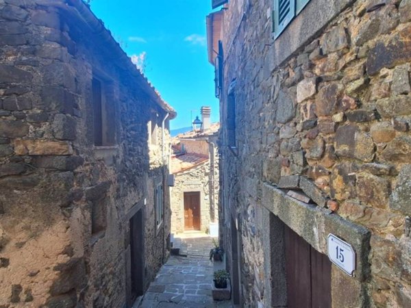 casa indipendente in vendita ad Arcidosso in zona Montelaterone