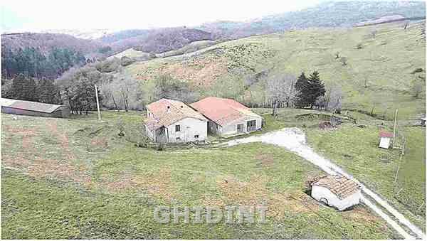 azienda agricola in vendita ad Arcidosso