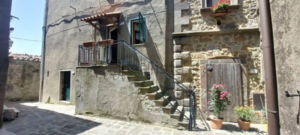 casa indipendente in vendita ad Arcidosso in zona Montelaterone