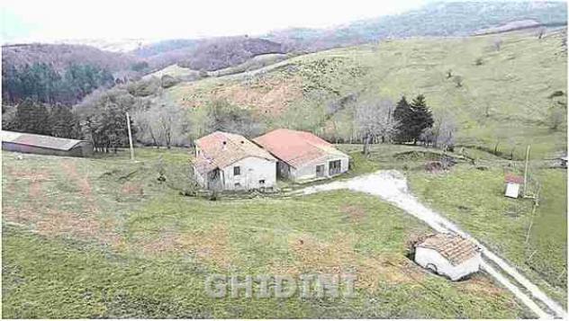 quadrivano in vendita ad Arcidosso