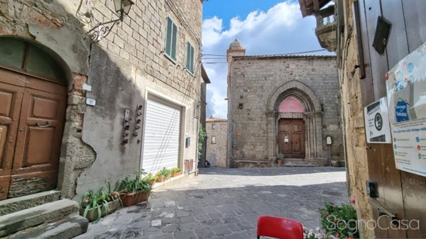 casa indipendente in vendita ad Arcidosso in zona Montelaterone