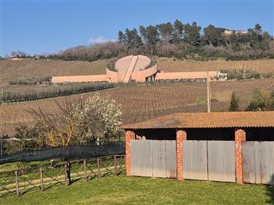 casa indipendente in vendita ad Arcidosso in zona San Lorenzo