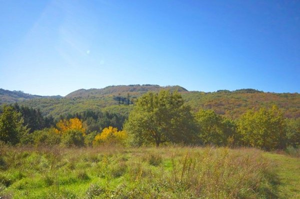 appartamento in vendita ad Arcidosso