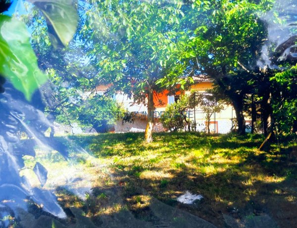 casa indipendente in vendita ad Arcidosso