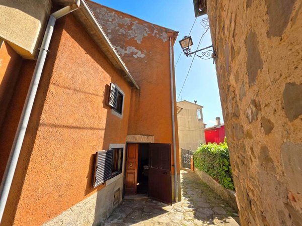 casa indipendente in vendita ad Arcidosso