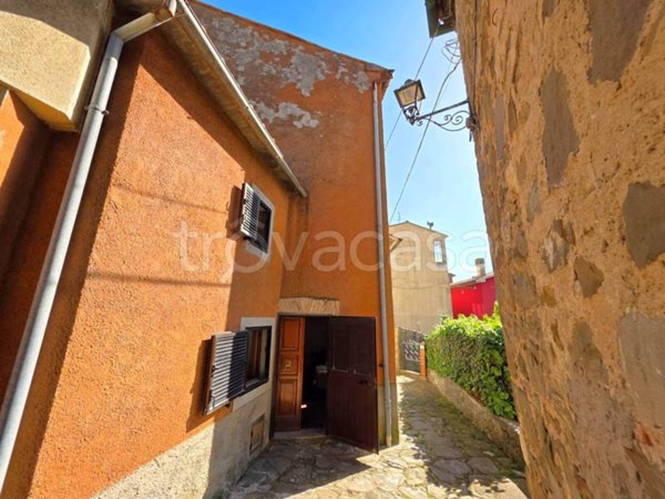 casa indipendente in vendita ad Arcidosso