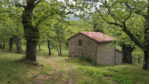 appartamento in vendita ad Arcidosso in zona San Lorenzo