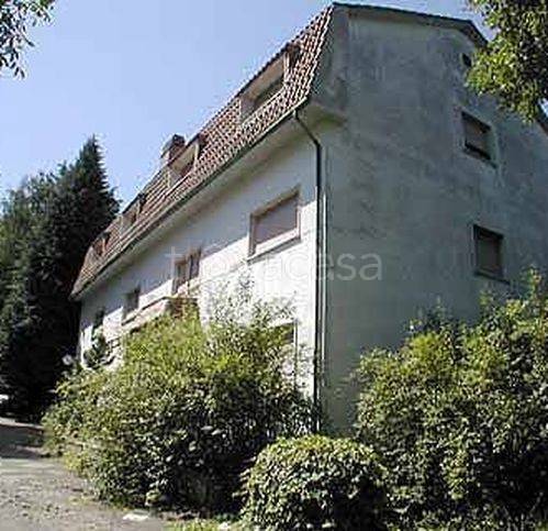 negozio in vendita ad Arcidosso