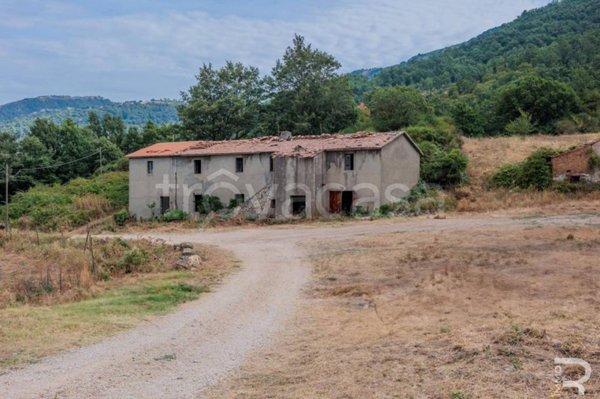 casa indipendente in vendita ad Arcidosso in zona Stribugliano