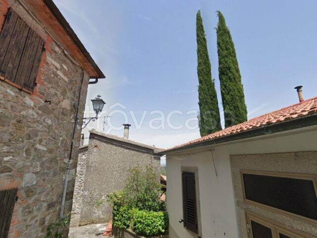 terreno agricolo in vendita ad Arcidosso in zona Salaiola