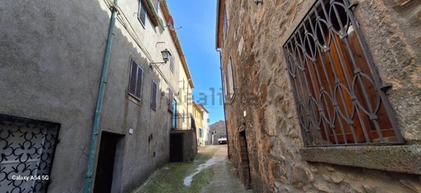 casa semindipendente in vendita ad Arcidosso in zona Montelaterone