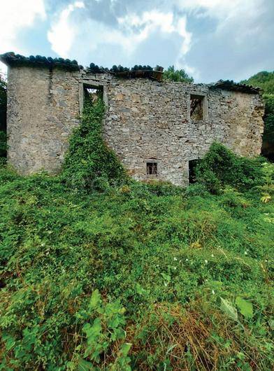 negozio in vendita ad Arcidosso in zona Salaiola