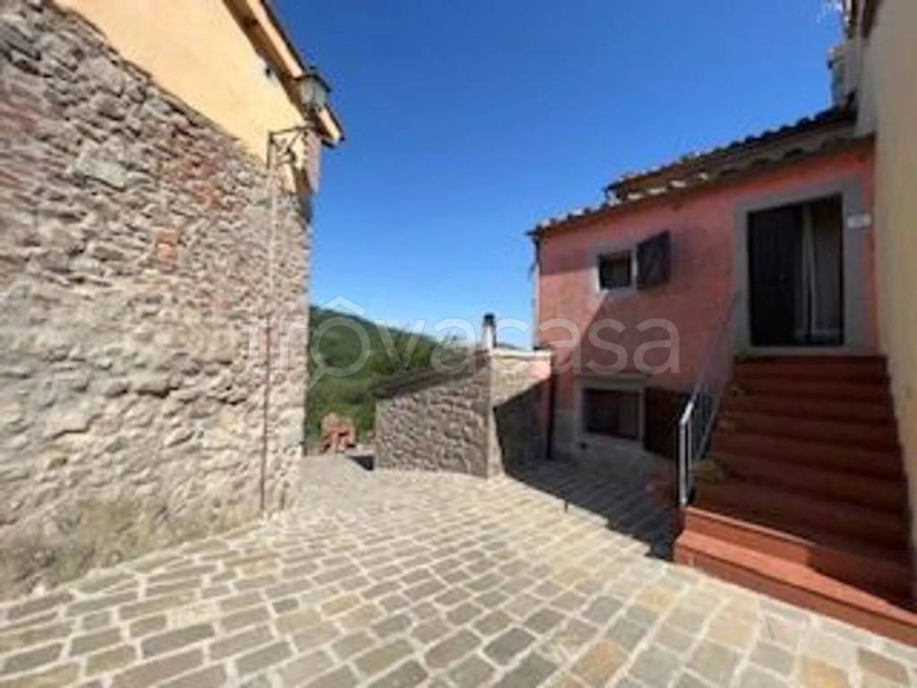 casa indipendente in vendita ad Arcidosso