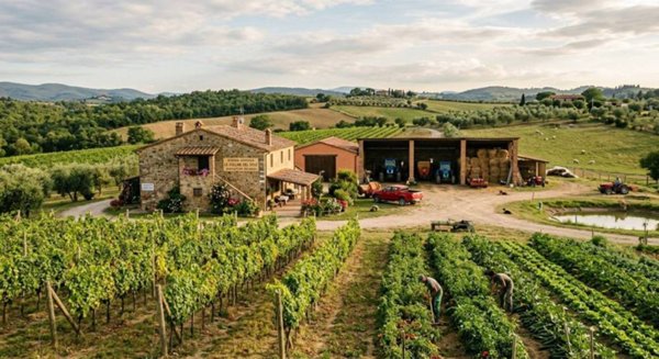 azienda agricola in vendita ad Arcidosso in zona Salaiola