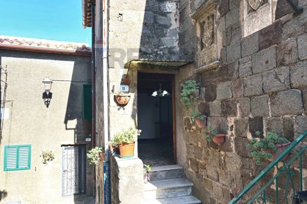 casa indipendente in vendita ad Arcidosso