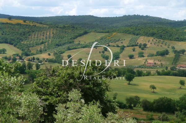 terreno agricolo in vendita a Campagnatico in zona Montorsaio