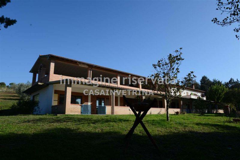 negozio in vendita a Campagnatico