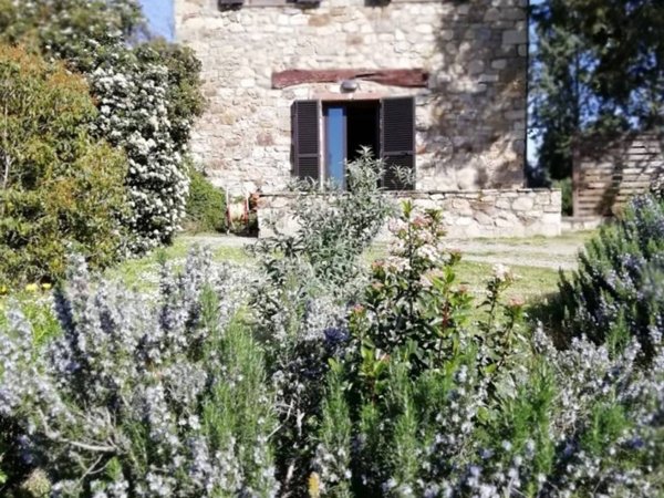 casa indipendente in vendita a Campagnatico