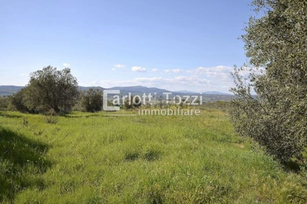 casa indipendente in vendita a Campagnatico