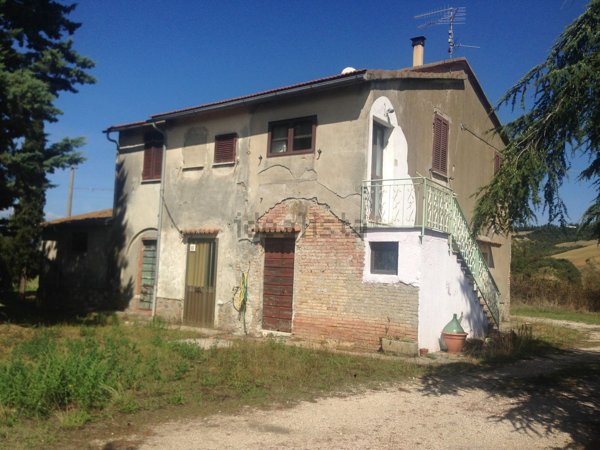 esavano in vendita a Campagnatico