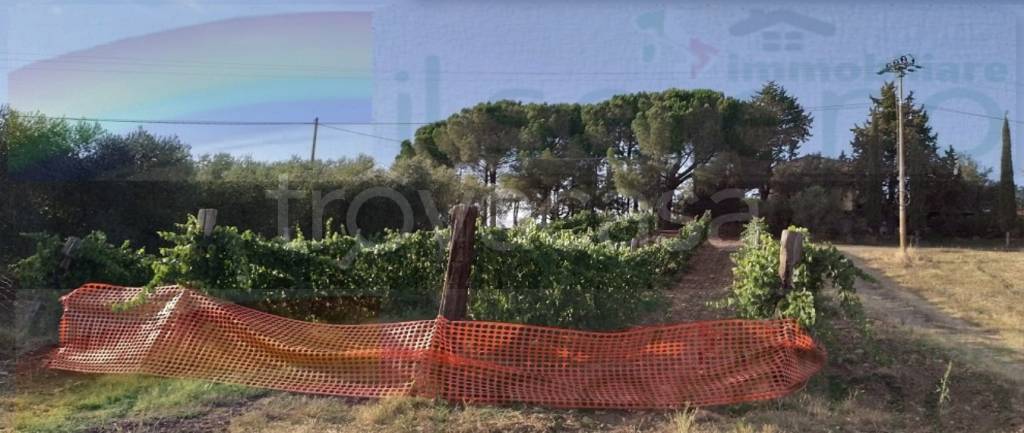 casa indipendente in vendita a Campagnatico