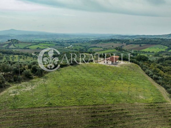 negozio in vendita a Campagnatico