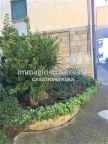 appartamento in vendita a Campagnatico