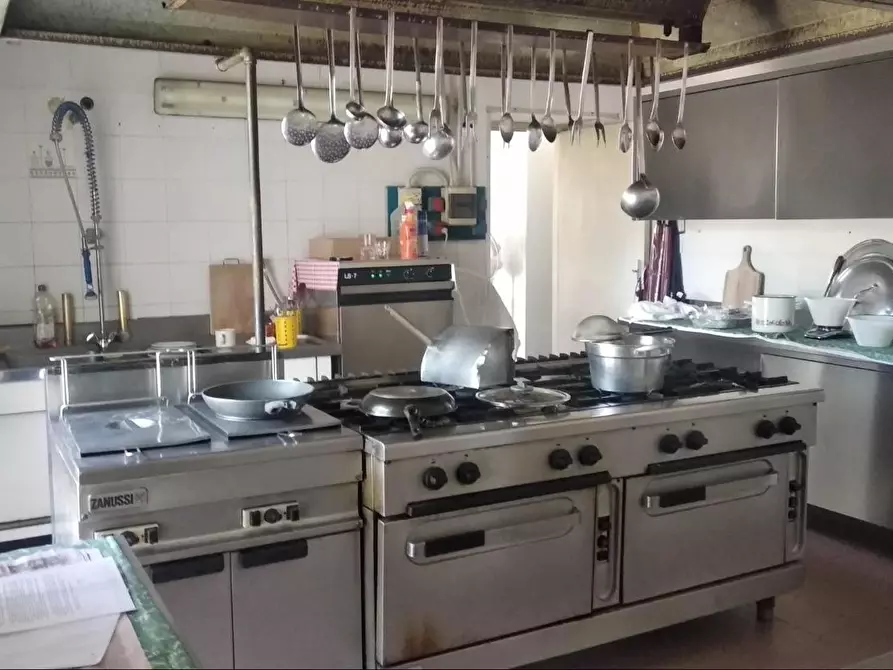 negozio in vendita a Campagnatico