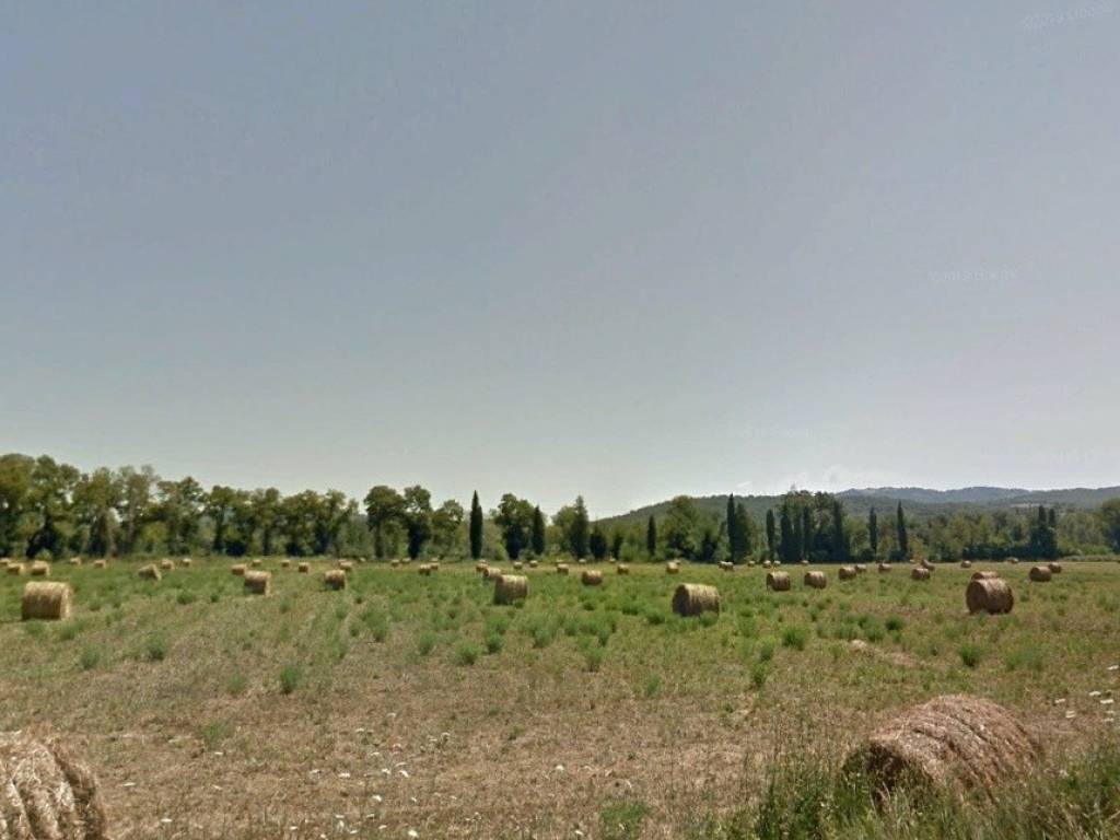 casa indipendente in vendita a Campagnatico
