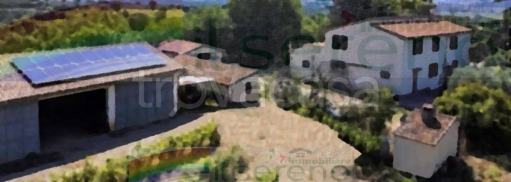 casa indipendente in vendita a Campagnatico