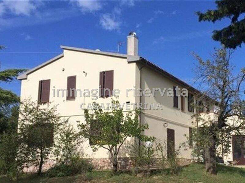 azienda agricola in vendita a Campagnatico