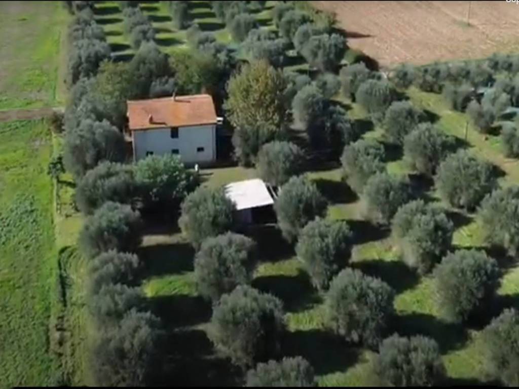 casa indipendente in vendita a Campagnatico