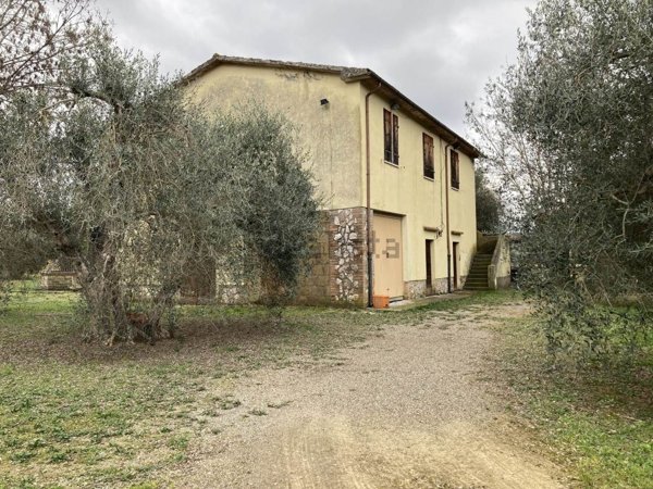 appartamento in vendita a Campagnatico