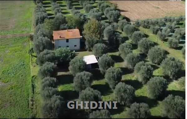 azienda agricola in vendita a Campagnatico