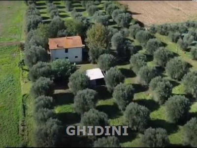 azienda agricola in vendita a Campagnatico