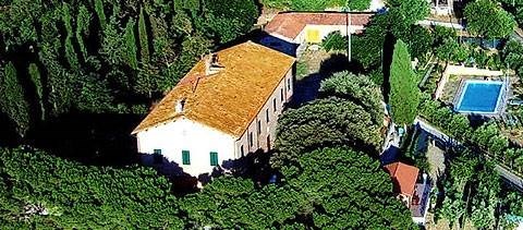 negozio in vendita a Campagnatico