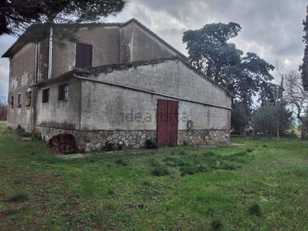 pentavano in vendita a Campagnatico