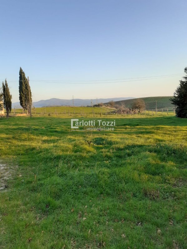 casa indipendente in vendita a Campagnatico