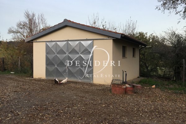 negozio in vendita a Campagnatico