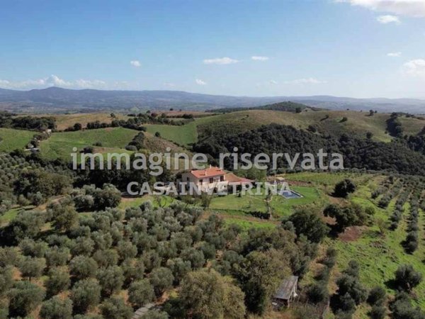 negozio in vendita a Campagnatico