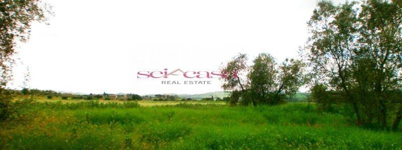 terreno agricolo in vendita a Campagnatico